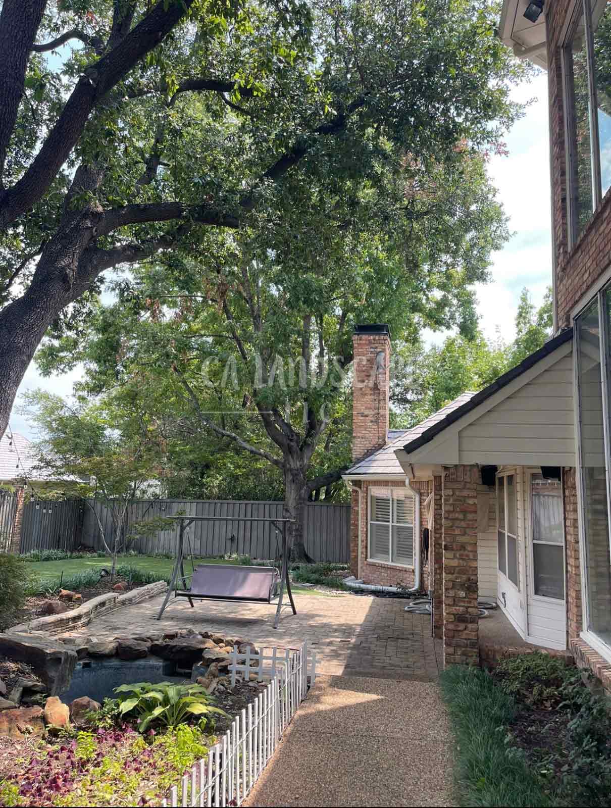 WhatsApp Image 2025-08-13 at 19.51.12