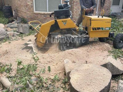 WhatsApp Image 2025-08-13 at 20.06.01 (14)